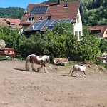Maison 20' Colmar Jardin Calme Chevaux Vue Poêle à Bois *