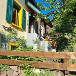 Maison 20' Colmar Jardin Calme Chevaux Vue Poêle à Bois Hébergement de vacances Jungholtz