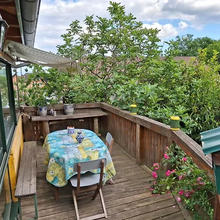 펜션 Maison 20' Colmar Jardin Calme Chevaux Vue Poele A Bois 융홀츠