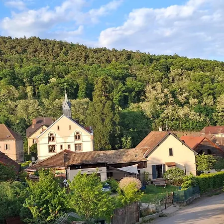 Maison 20' Colmar Jardin Calme Chevaux Vue Poele A Bois *