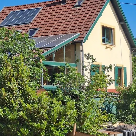 Maison 20' Colmar Jardin Calme Chevaux Vue Poêle à Bois Hébergement de vacances Jungholtz