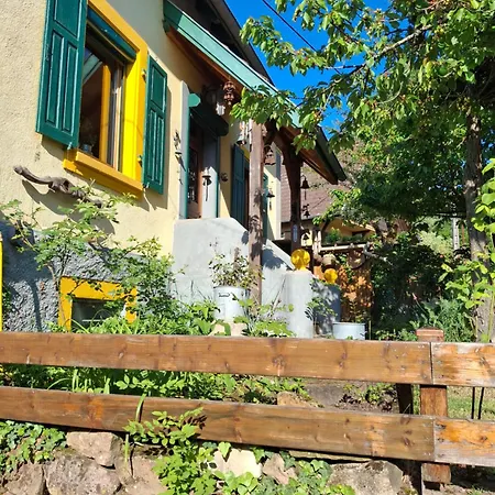 Maison 20' Colmar Jardin Calme Chevaux Vue Poêle à Bois Hébergement de vacances Jungholtz