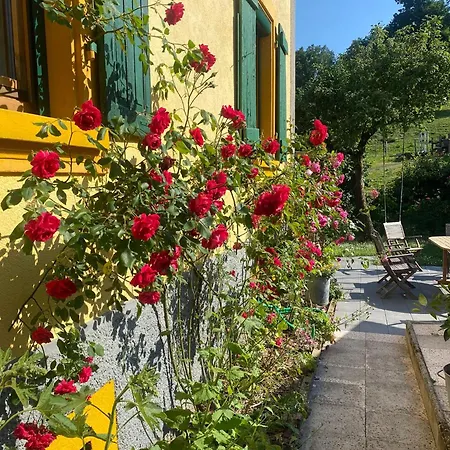 Maison 20' Colmar Jardin Calme Chevaux Vue Poele A Bois 융홀츠