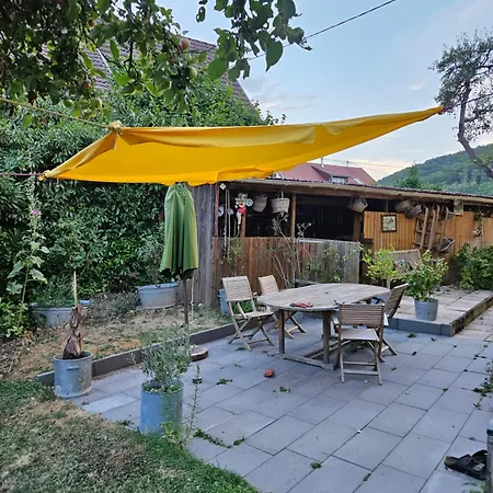 Maison 20' Colmar Jardin Calme Chevaux Vue Poele A Bois Dom wakacyjny
